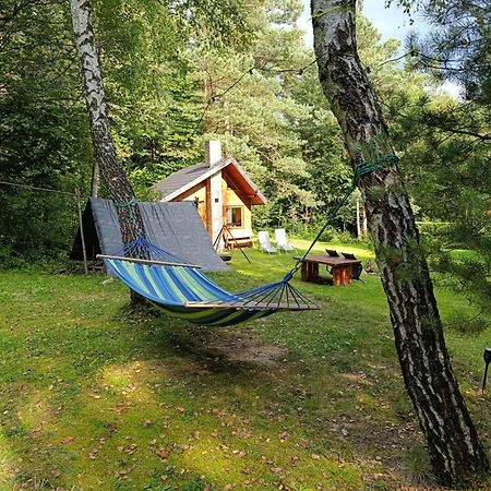 Survivalowa Chata W Lesie Bukowsko Extérieur photo