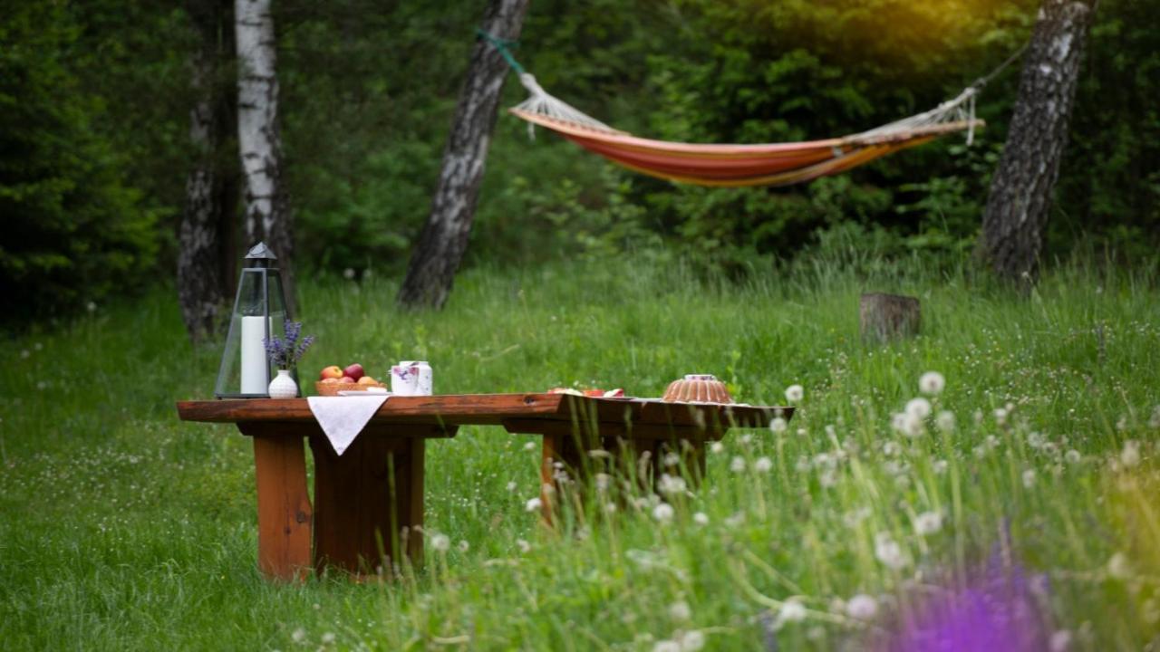 Survivalowa Chata W Lesie Bukowsko Extérieur photo