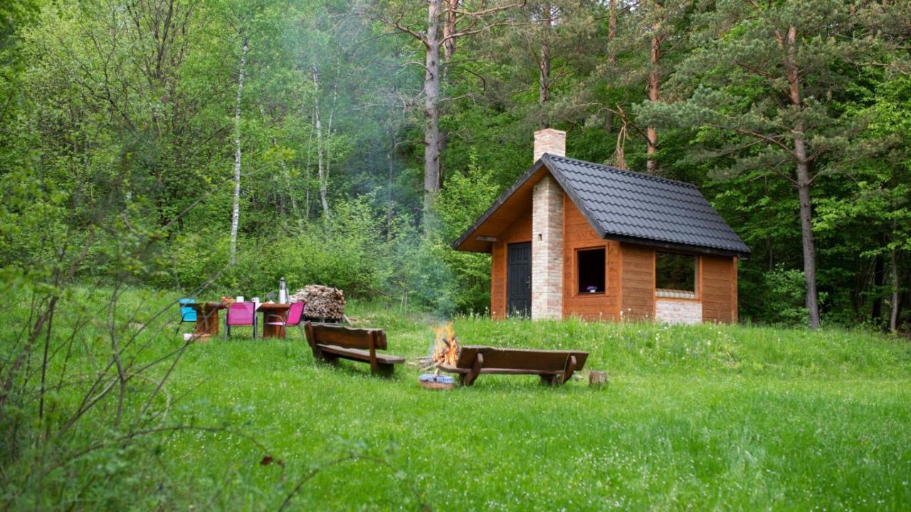Survivalowa Chata W Lesie Bukowsko Extérieur photo